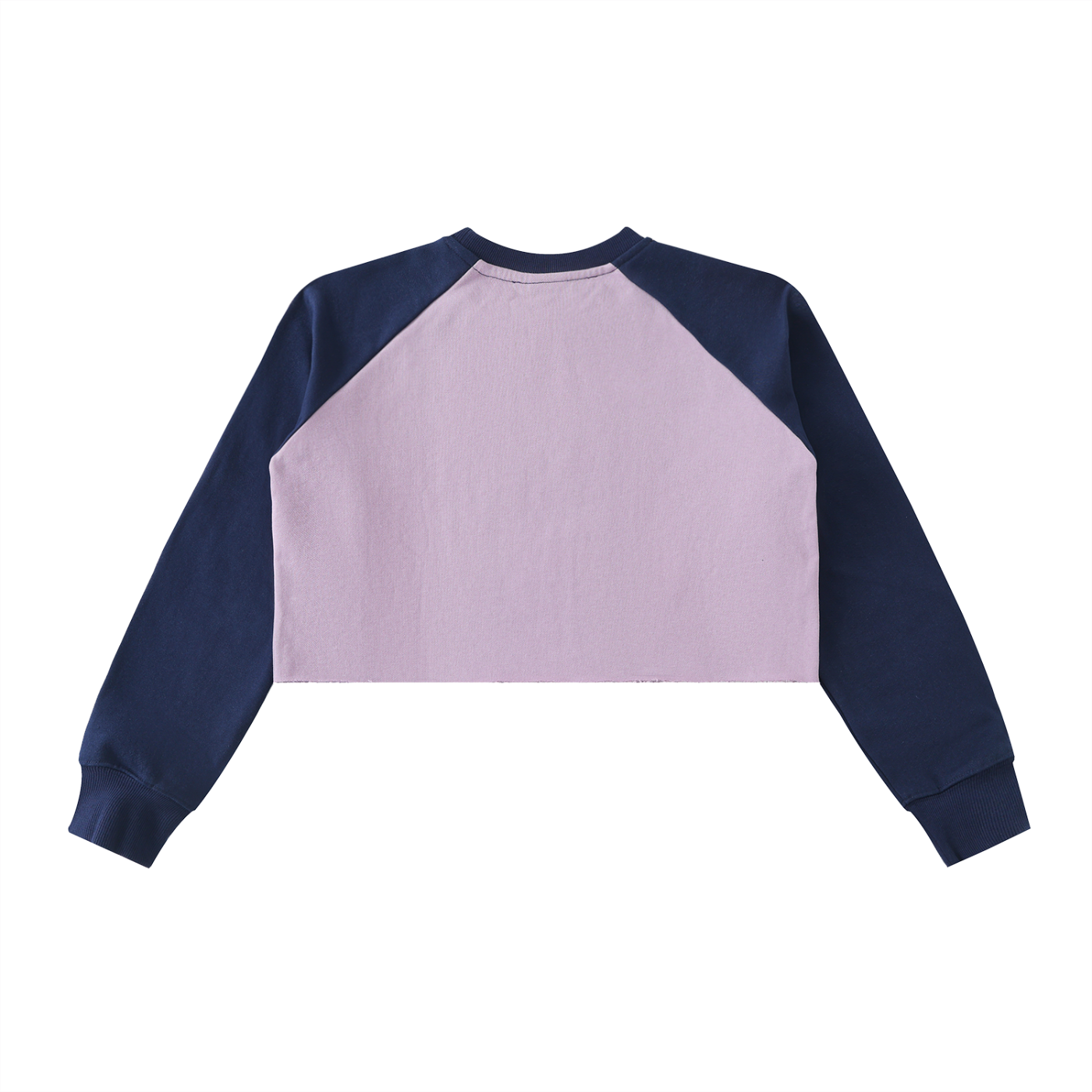 Dino Drafts Crop Sweatshirt